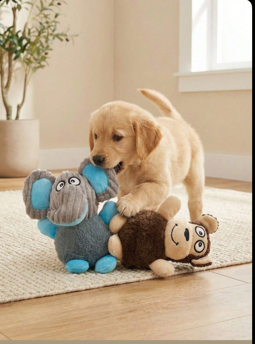 Pet Essentials