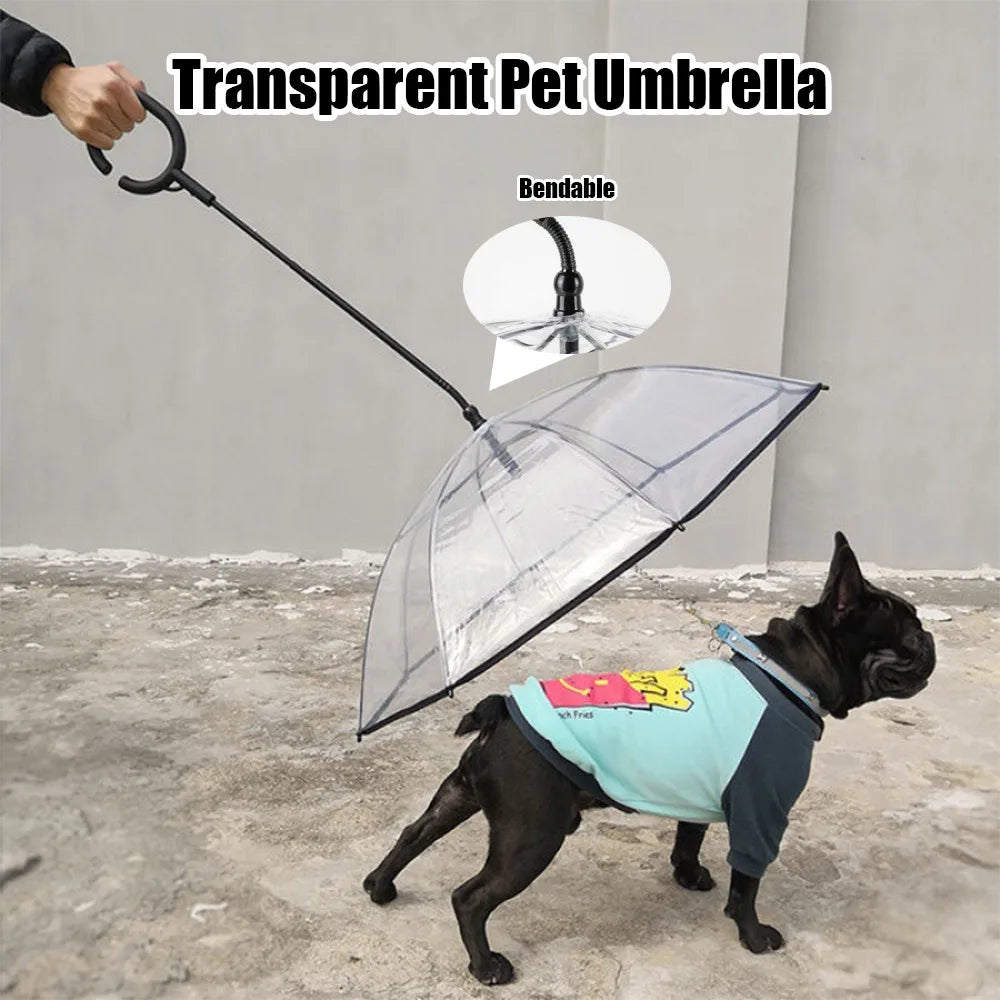Transparent Pet Umbrella for Dogs with Detachable Leash