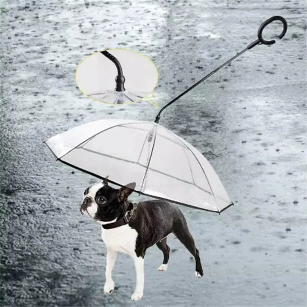 Transparent Pet Umbrella for Dogs with Detachable Leash